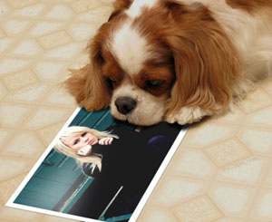 duffy3